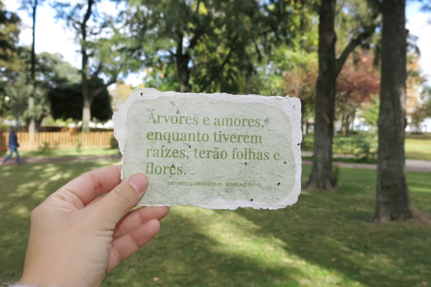 rita-faia-old-sayings-seedpaper