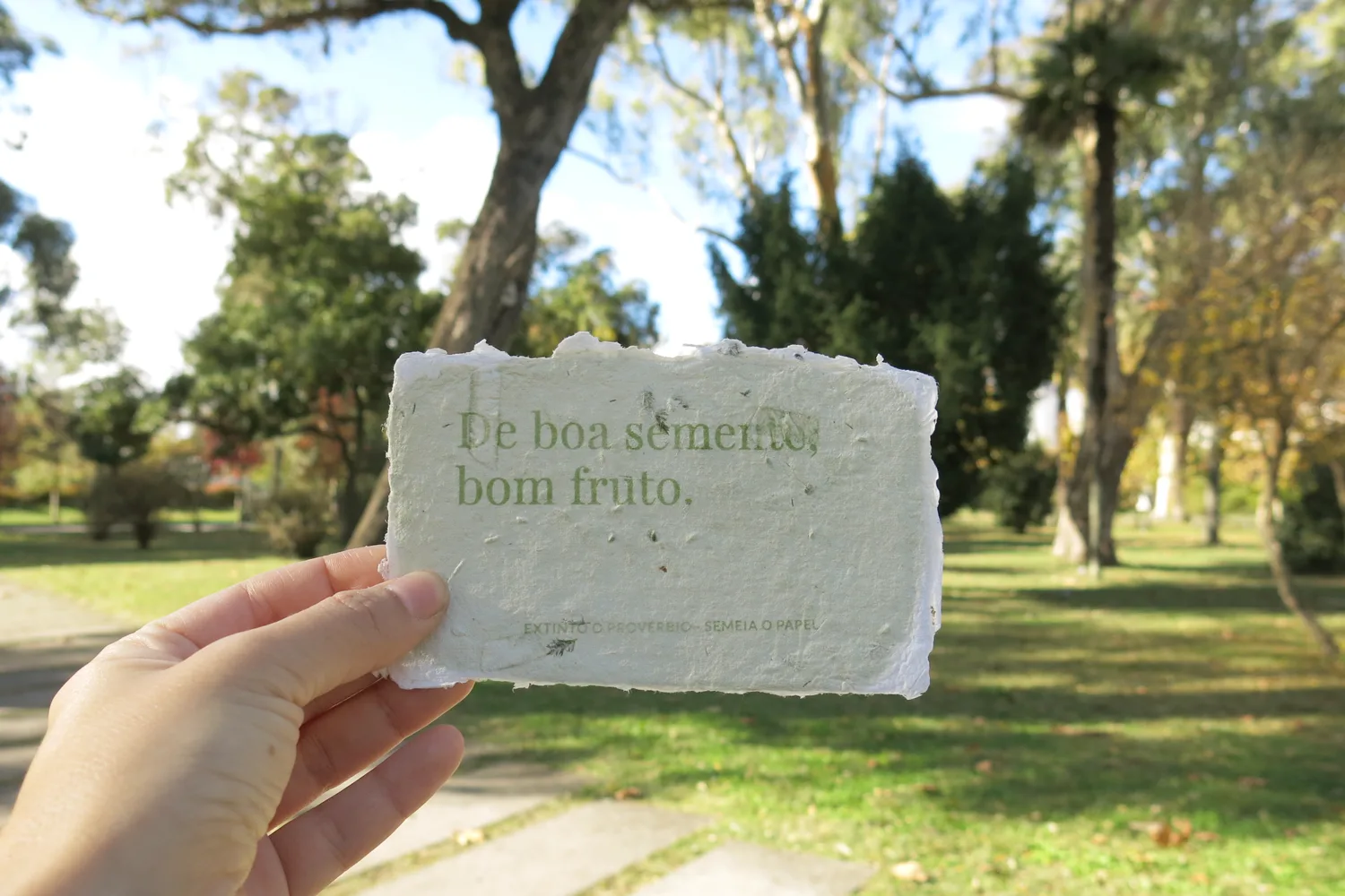 rita-faia-old-sayings-seedpaper