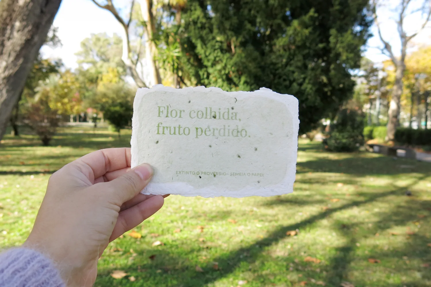 rita-faia-old-sayings-seedpaper