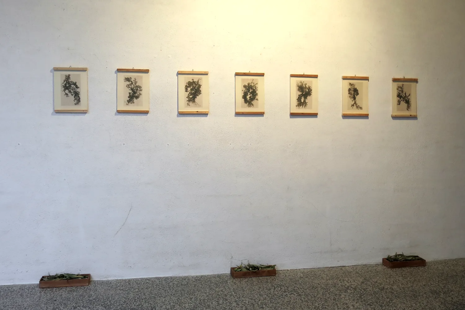 rita-faia-paradise-found-expo00