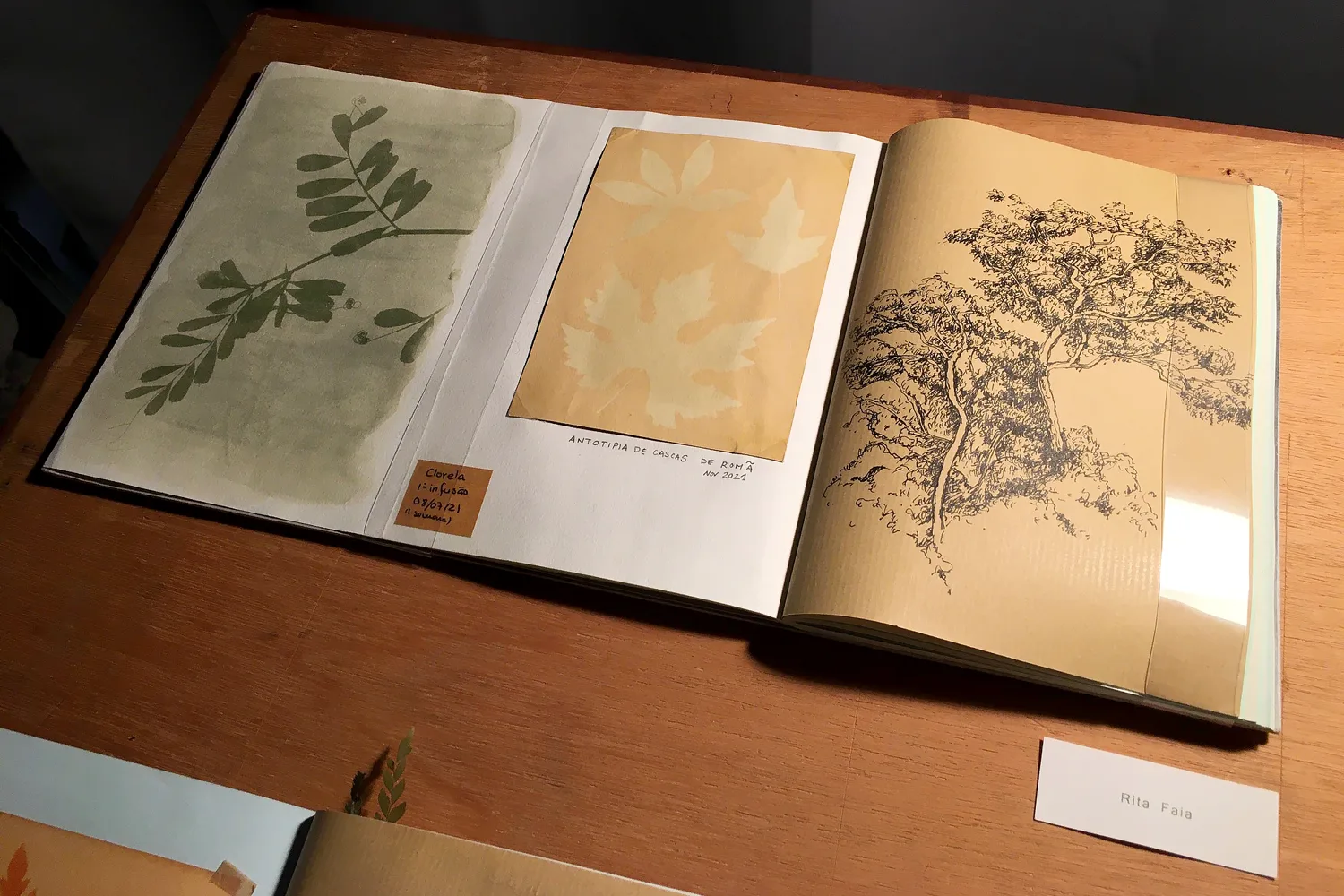 rita-faia-paradise-found-expo03