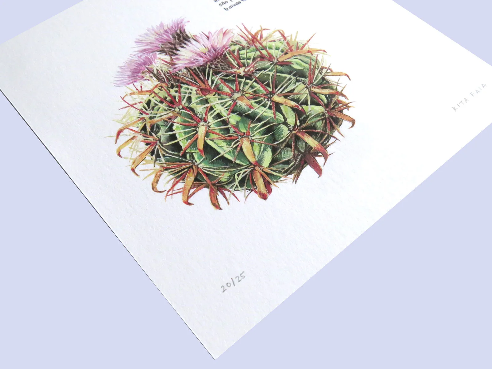 Cacto Fig. 1