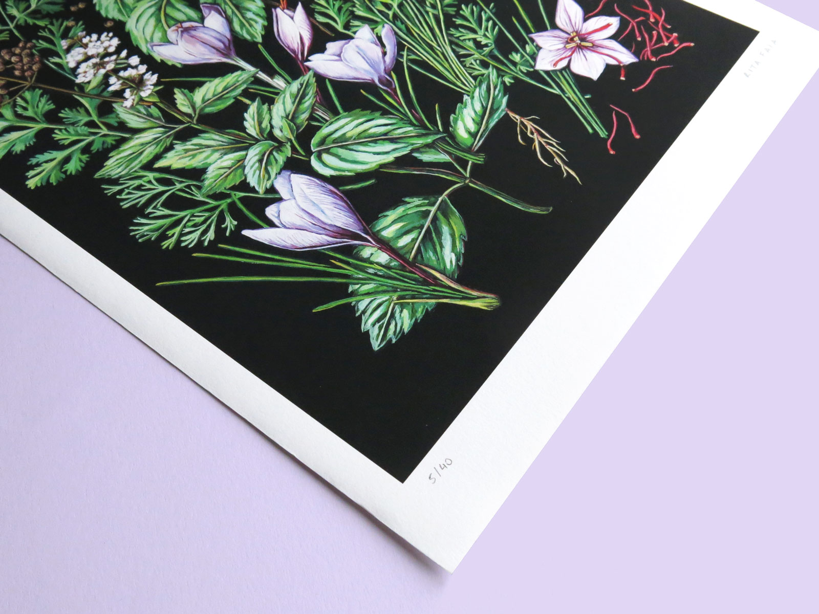 Ervas e Especiarias - Image 2